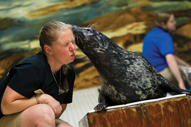 Assistant curator Katie Canady gets personal with Seaquin the seal.
