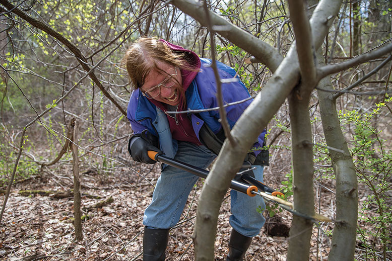 Great Swamp Invasives Strike Team volunteer Linda Jerdach goes after a young Callery pear tree with a large lopping tool.