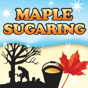 maple sugaring cartoon