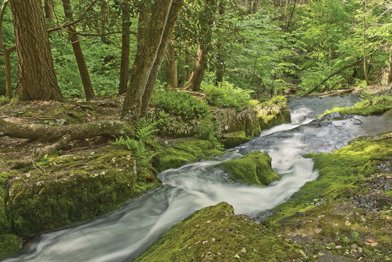 Tillman Ravine Falls, Stokes State Forest, Walpack Township.