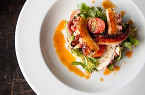 Seared Spanish octopus, with an arugula, fennel, tomato, and piquillo pepper salad in a chorizo vinaigrette from Cubacan in Asbury Park, NJ
