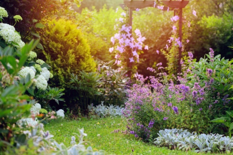 Flower-filled garden