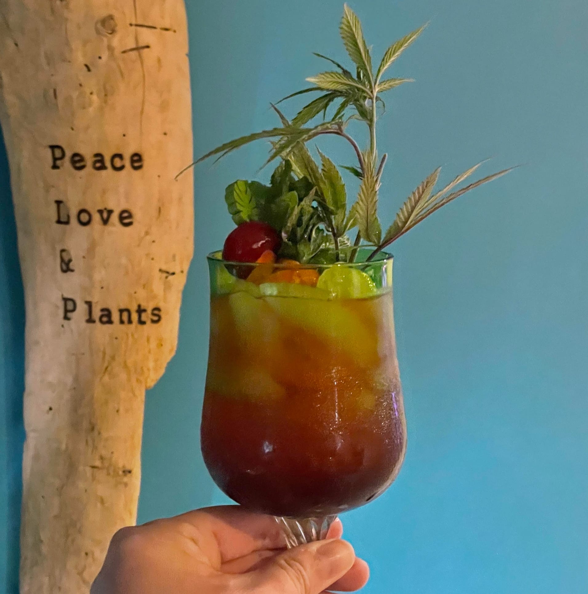 Cannabis-laced cocktail held in front of lettering that reads, "Peace Love & Plants"