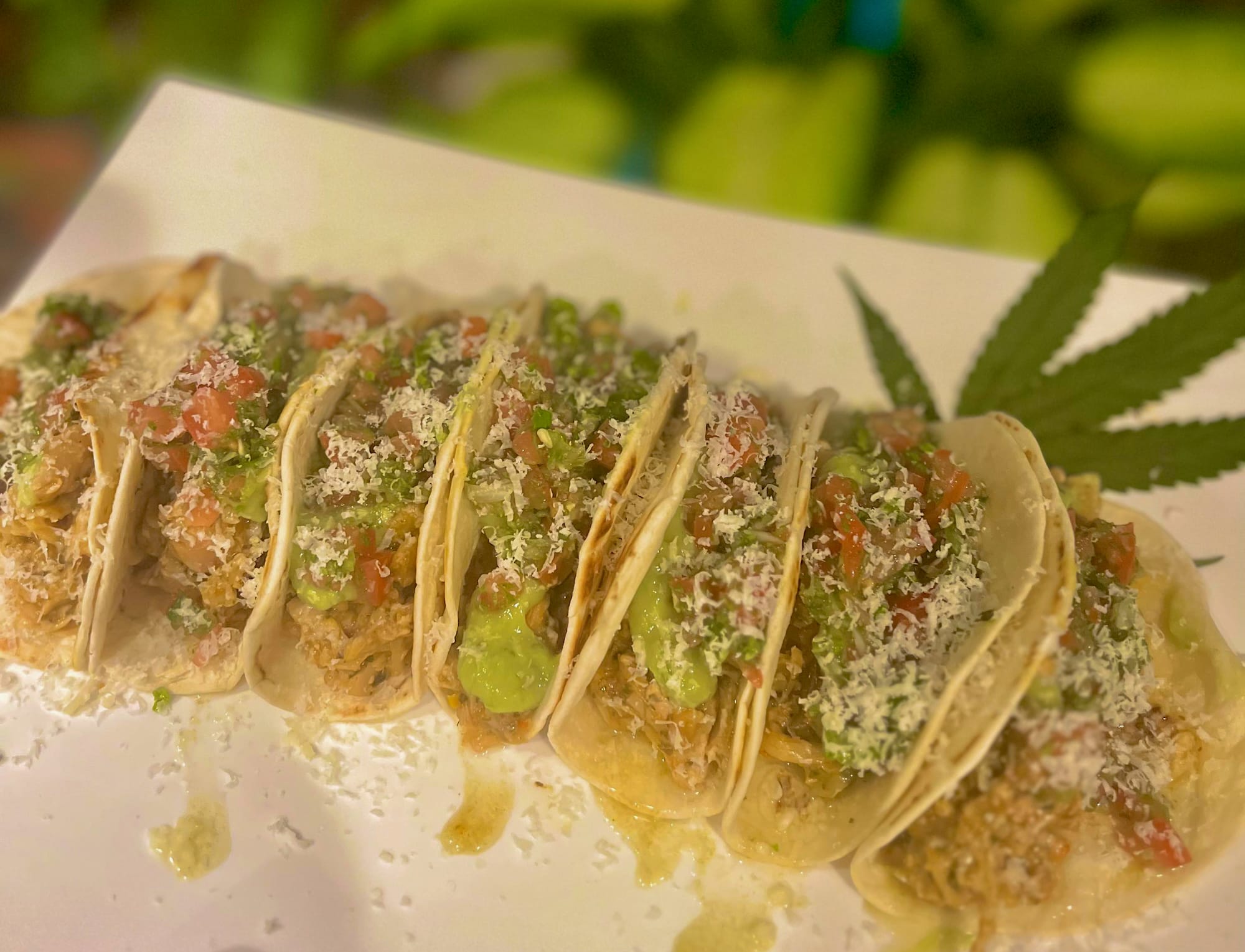 Cannabis-infused tacos