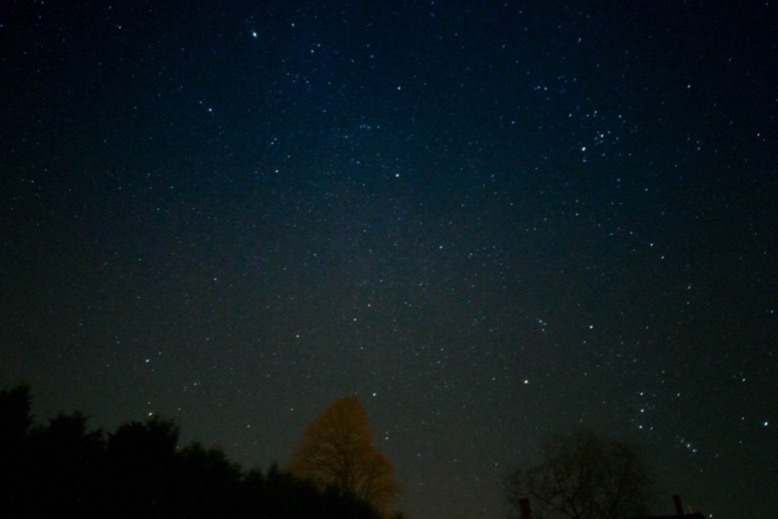 Stars in dark, tree-lined sky