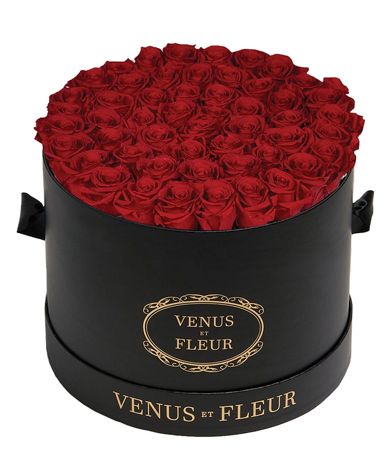 Venus et Fleur roses