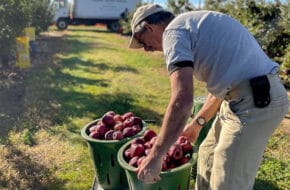 Farmers Against Hunger Volunteer