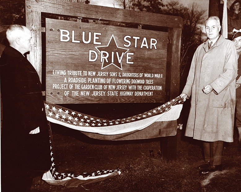 A vintage photo of a sign denoting Blue Star Drive.