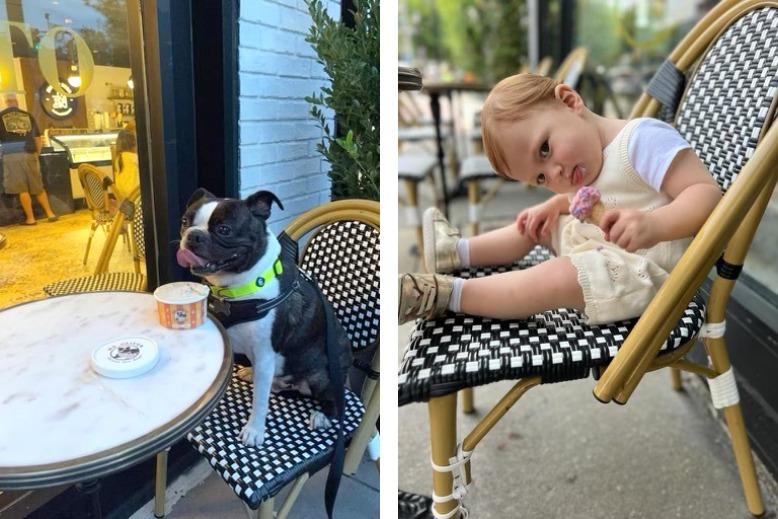 A dog and a baby outside enjoy sweet treats outside Bianco Nero Gelato in Englewood