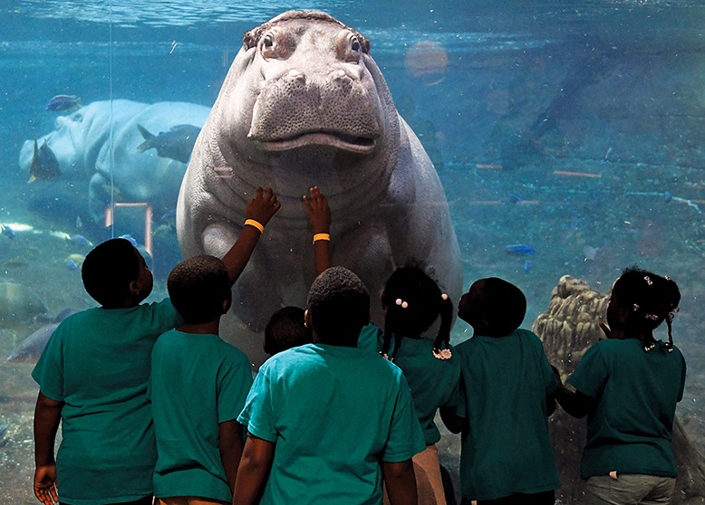 Children visit underwater creatures at Camden's Adventure Aquarium