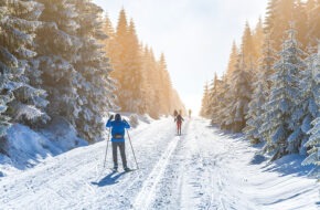 Cross-country skiers in winter nature
