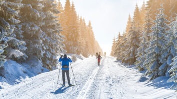 Cross-country skiers in winter nature
