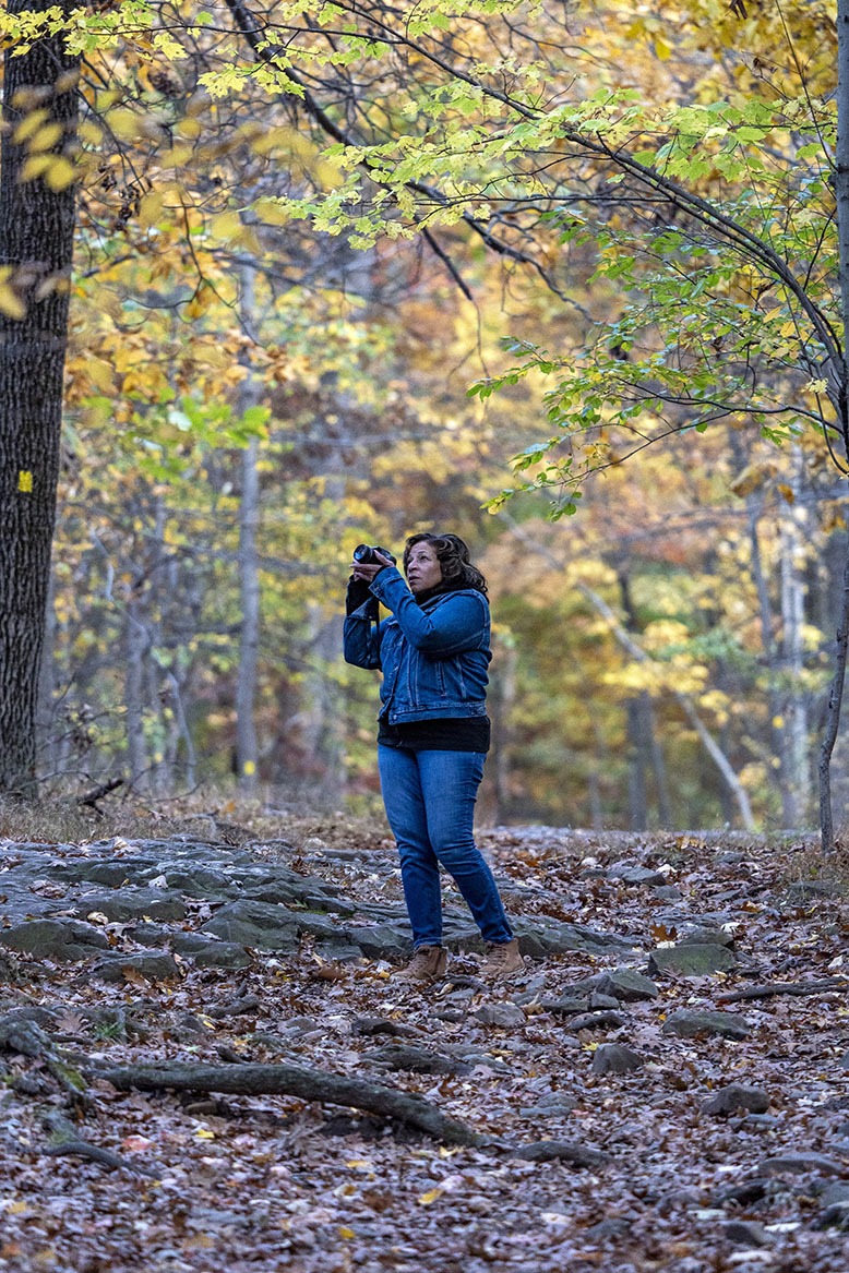 A woman takes photos at Quarry Point in the Mills Reservation in autumn