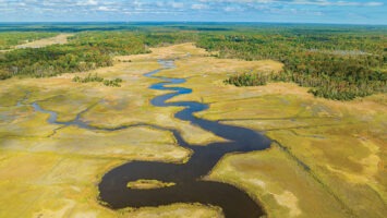 Great Egg Harbor River in New Jersey