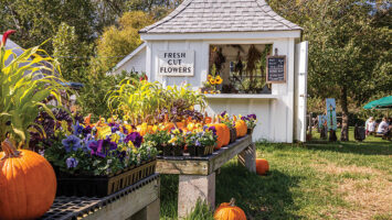 Beach Plum Farm in Cape May in the fall