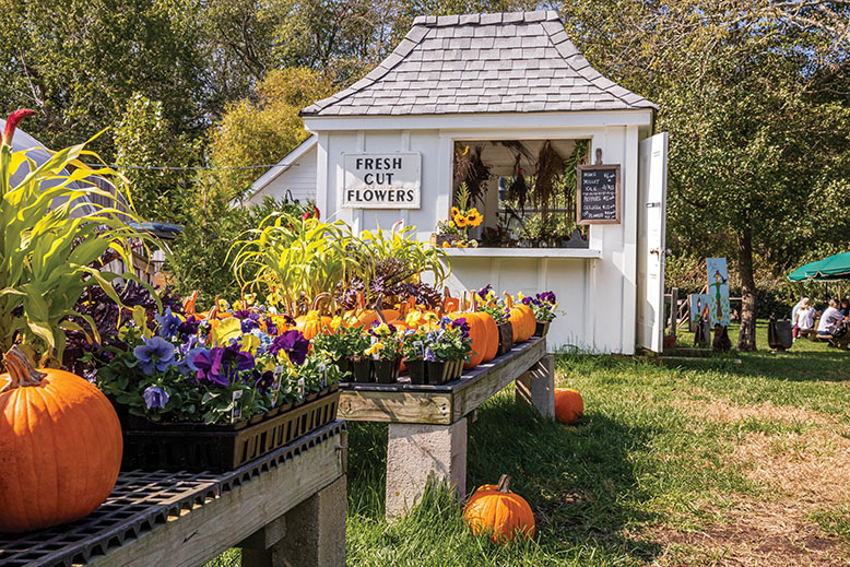 Beach Plum Farm in Cape May in the fall