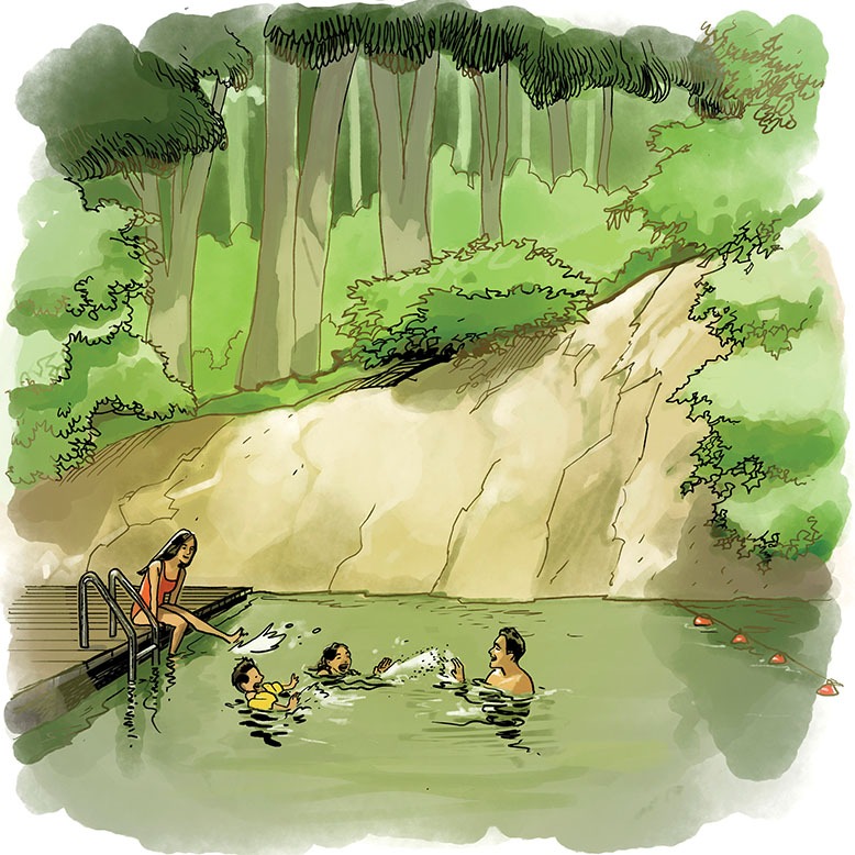 Illustration of swimmers in a natural pool