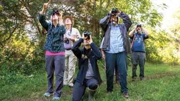 Birders look through binoculars in Cape May.