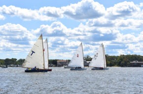 Boats during Sailfest in Island Heights