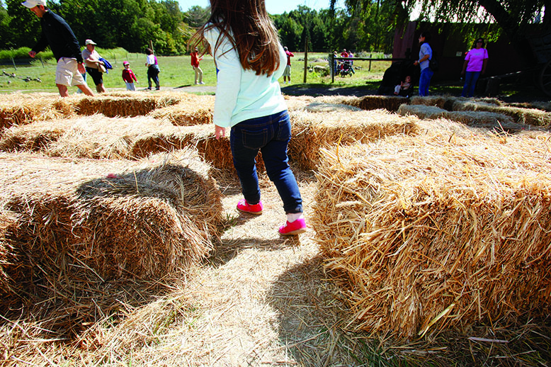 Child in hay bale maze at Terhune Orchards