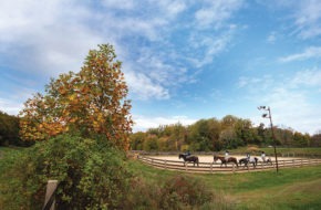 Horseback riders at Watchung Stable in Mountanside