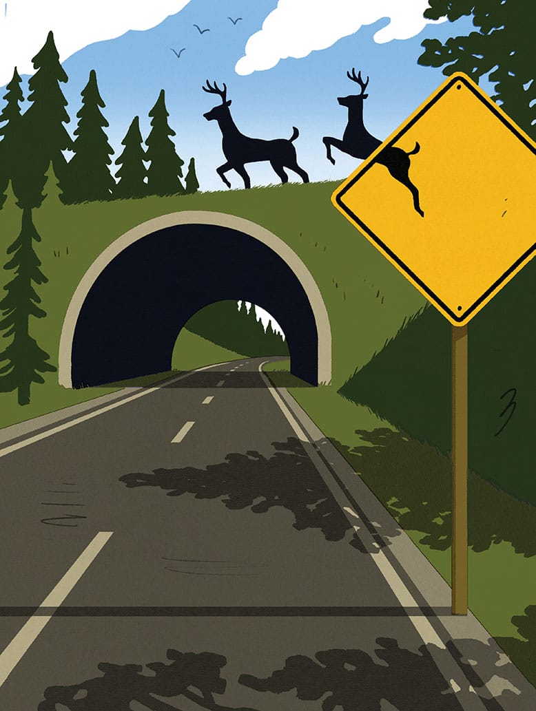 Illustration depicting deer leaping off of a deer-crossing side and crossing a road via an overpass