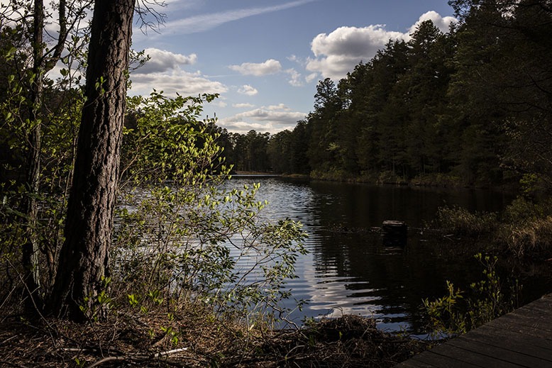 Pakim Pond along a portion of the Batona Trail in Brendan T. Byrne State Forest