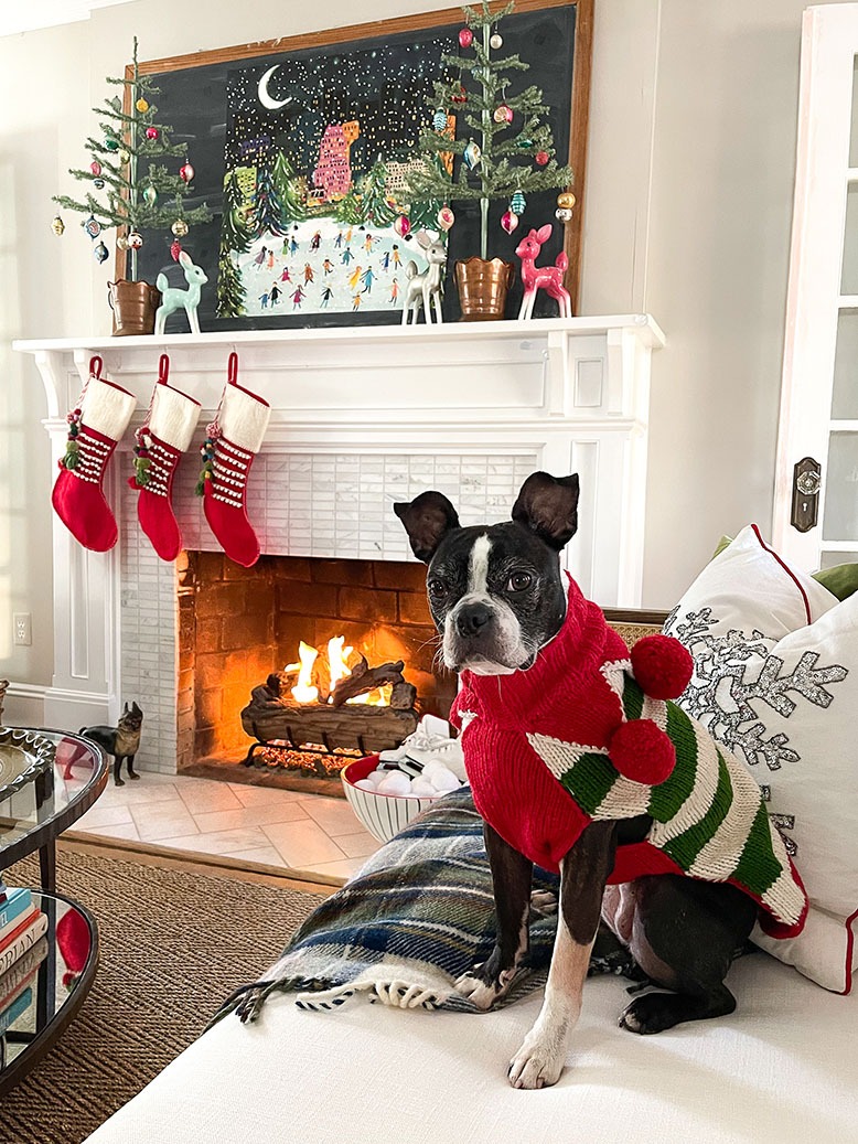 Kelly Elko's dog, Sushi, in a red and green sweater on the couch of her Summit living room, decked out for Christmas