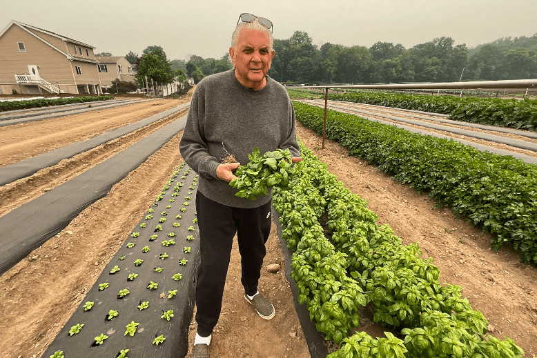 Pete explains how basil is grown during a recent field segment for WNBC’s "Weekend Today in New York"