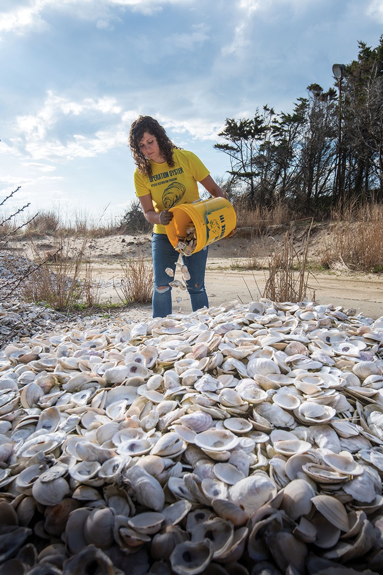 Serena Celestino of the American Littoral Society’s Shuck It, Don’t Chuck It! program deposits shells at Sandy Hook.