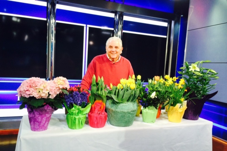Produce Pete discusses the range of different Easter and Passover flowers during a segment of NBC's "Weekend Today in New York"