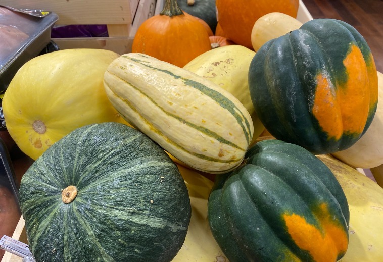 A variety of winter squash