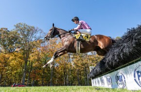 A competitor jumps a fence during at Far Hills Race Meeting