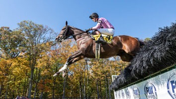 A competitor jumps a fence during at Far Hills Race Meeting