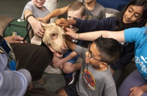 Therapy dog with children at Stony Brook Elementary School in Hopewell Township