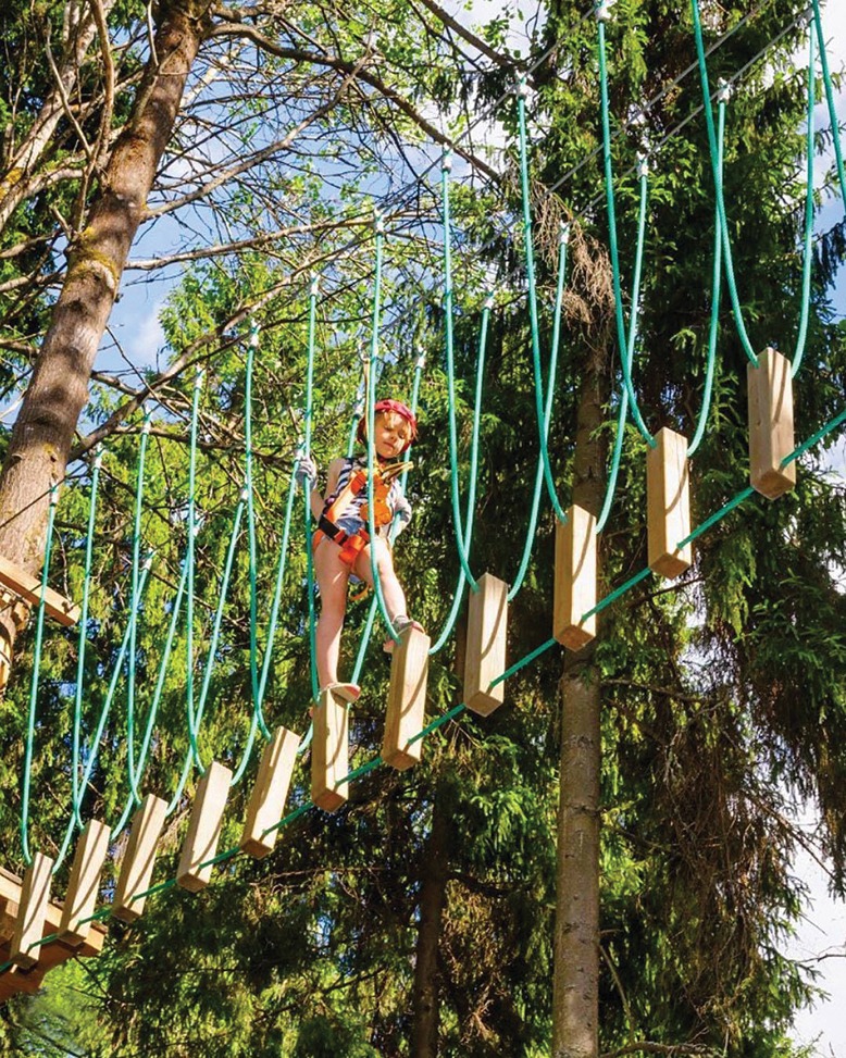 A child climbs Treetop Adventure at Turtle Back Zoo.