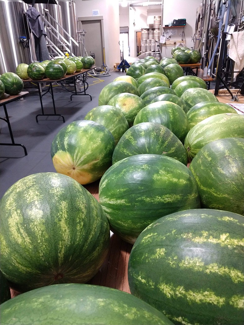 Watermelons await juicing at Wet Ticket Brewing in Rahway