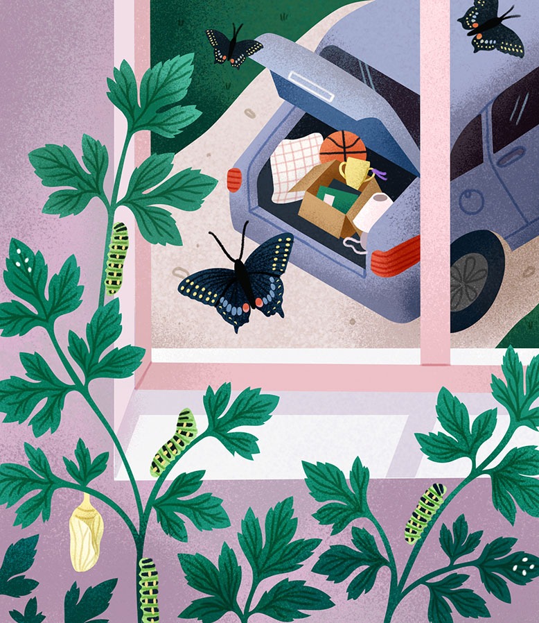 Illustration of caterpillars growing in a bedroom with a window view of a car being packed for college
