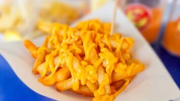 Cheese fries