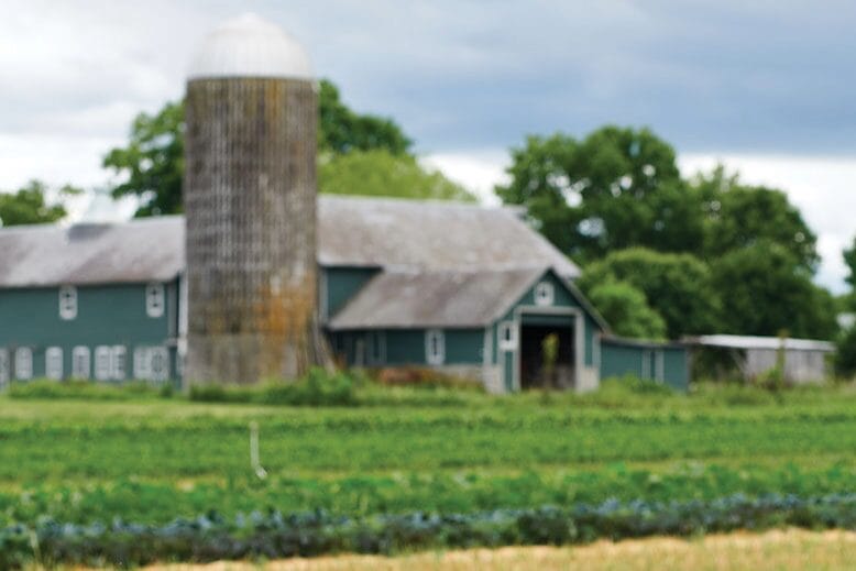 Circle Brook Farm in Andover Township