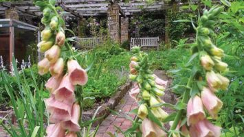 Flowers bloom in the lush Cross Estate Gardens in Bernardsville.