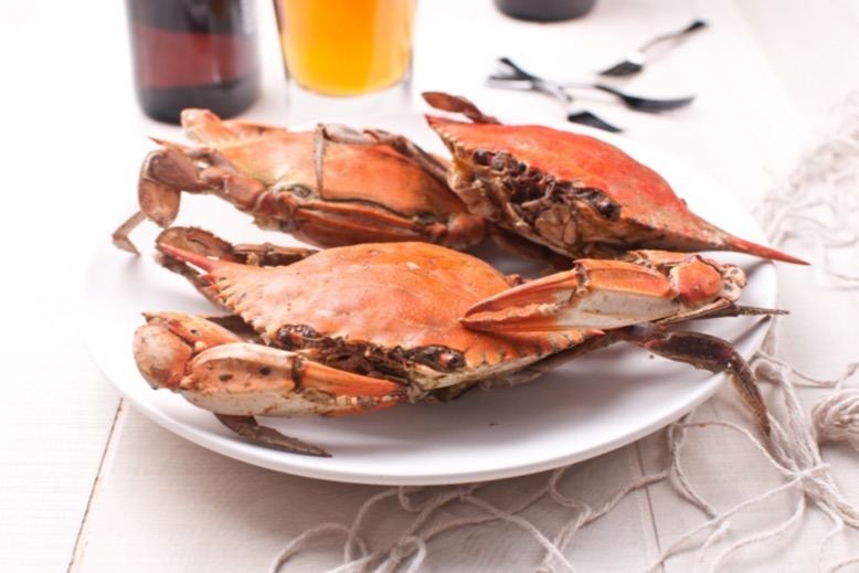 Steamed crabs on a plate with beer