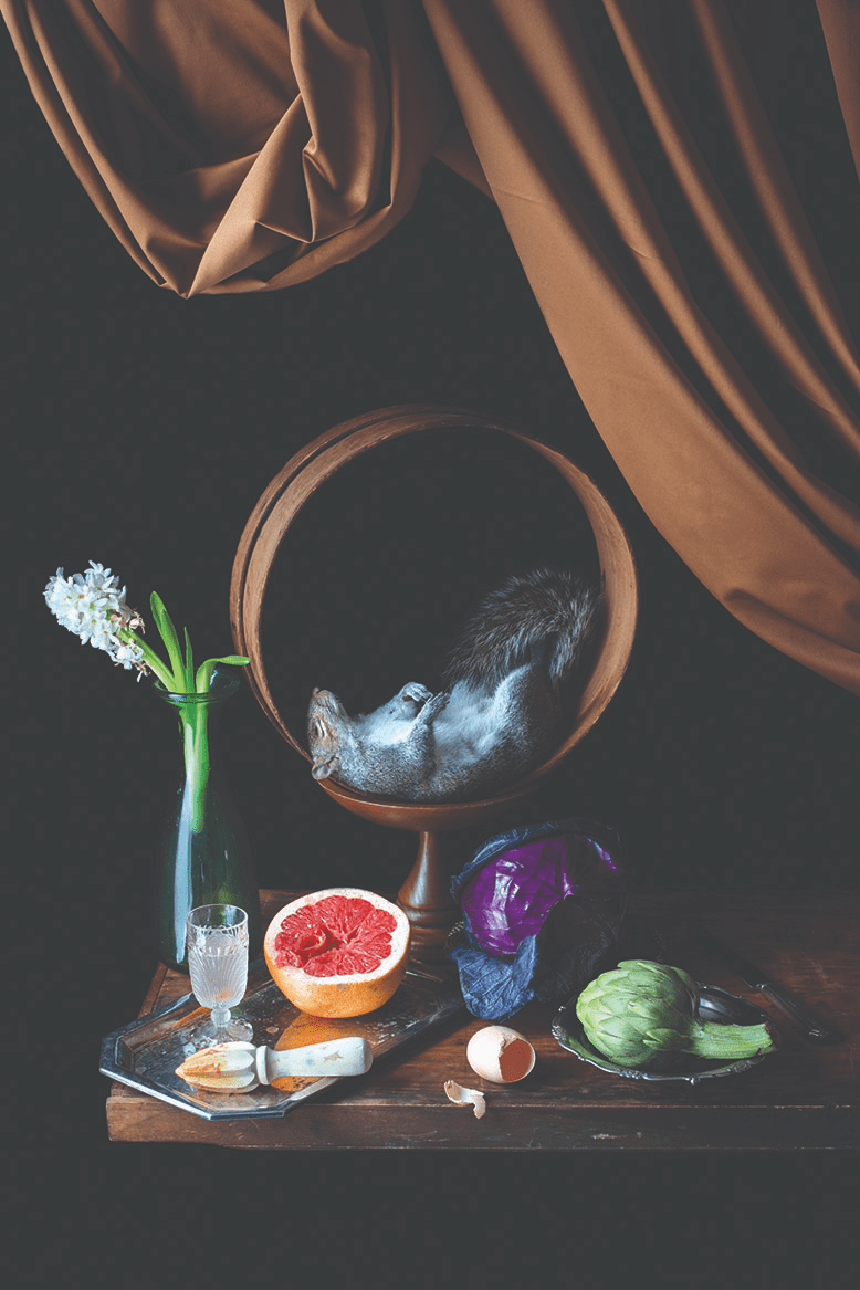 Witham's taxidermy display, inspired by Dutch still-life paintings, features a taxidermied squirrel on a table with produce and a vase of flowers