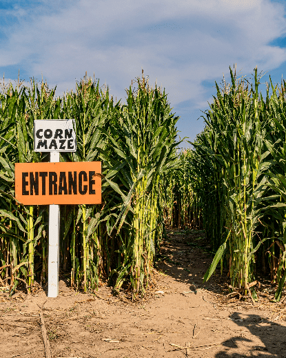 Entrance of corn maze
