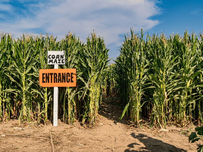New Jersey Fall Festivals and Fairs You Won’t Want to Miss