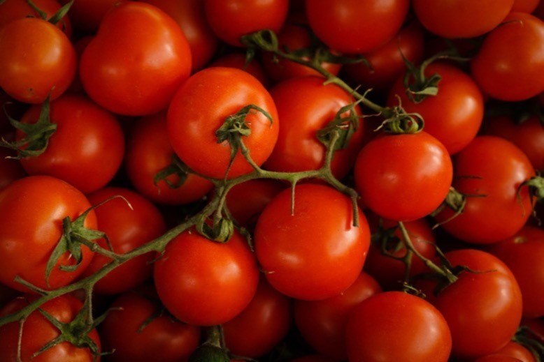 Array of tomatoes