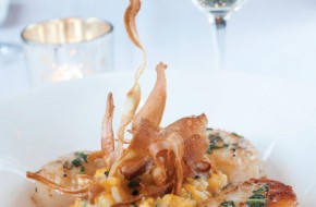 Seared day-boat scallops with butternut squash risotto.