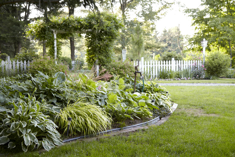 Ruthann and Daine Grey's garden in Readington Township.