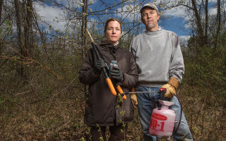 The Great Swamp in Morris County has its own strike team to battle invasives.