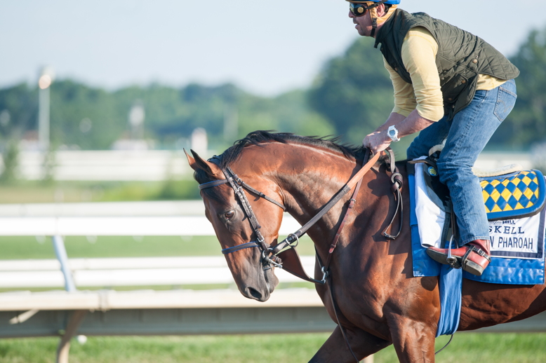 Ex-Mets catcher Paul Lo Duca, now horse racing analyst working